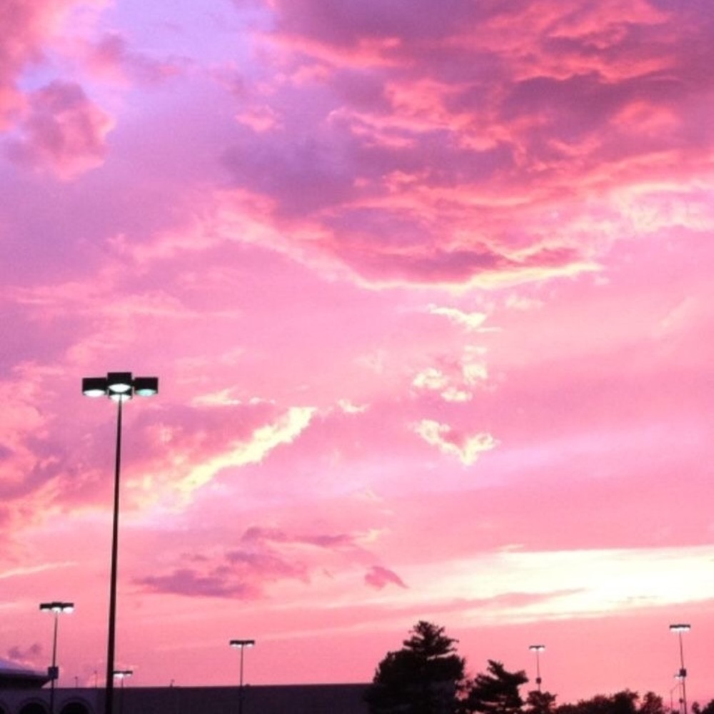 Meet your Posher, Molina